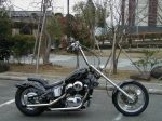 VLX 600 Chopper